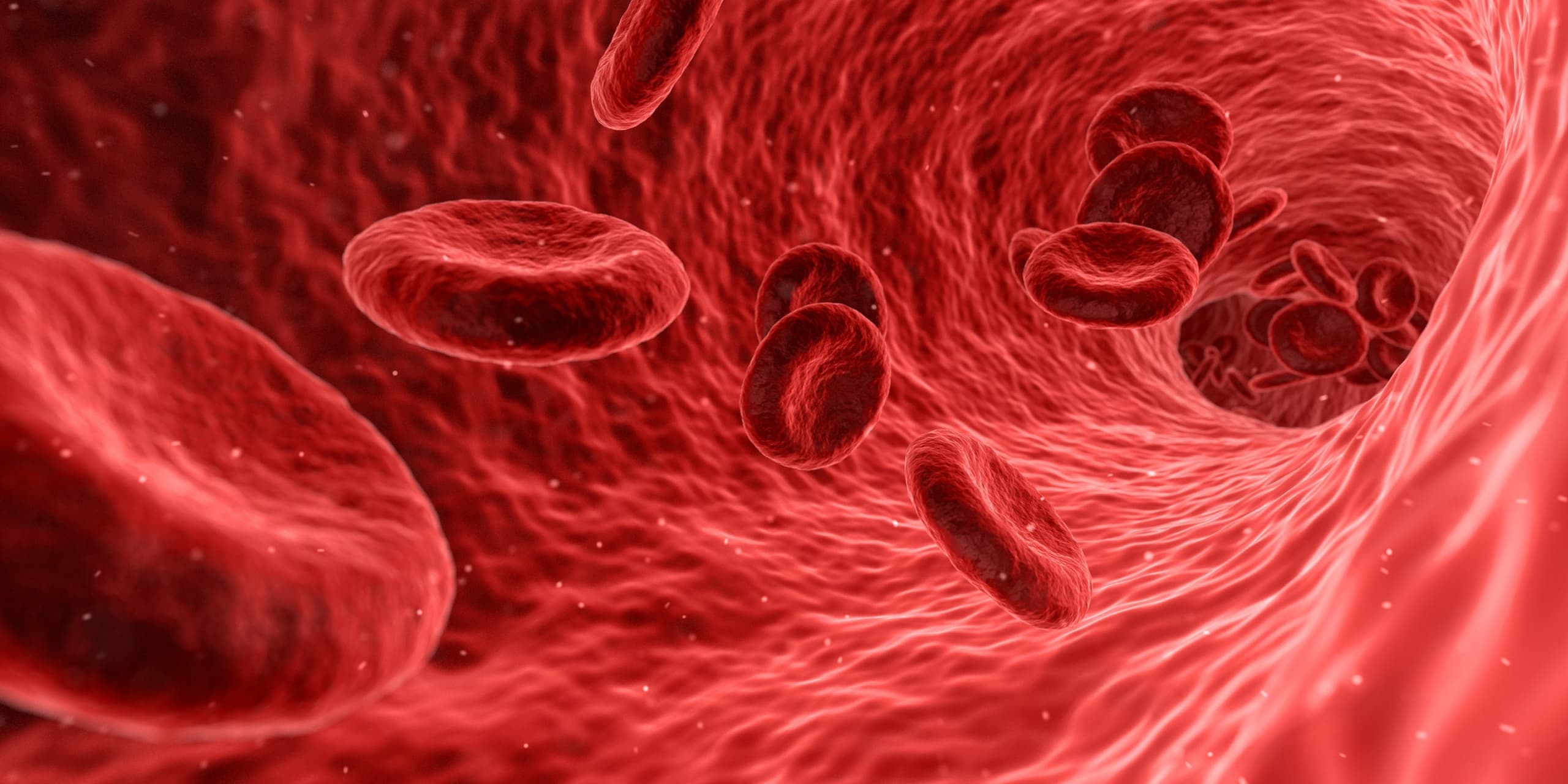 A microscope image showing multiple red blood cells as pale circular discs with darker edges and lighter centres, some overlapping, against a light background.