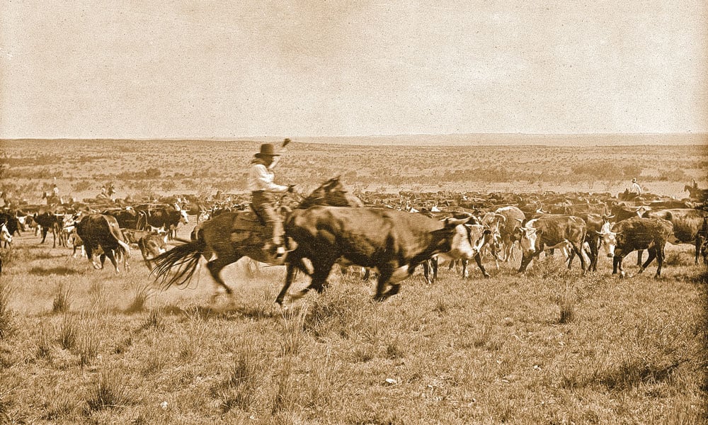 Cattle Drive on the Chisholm Trail