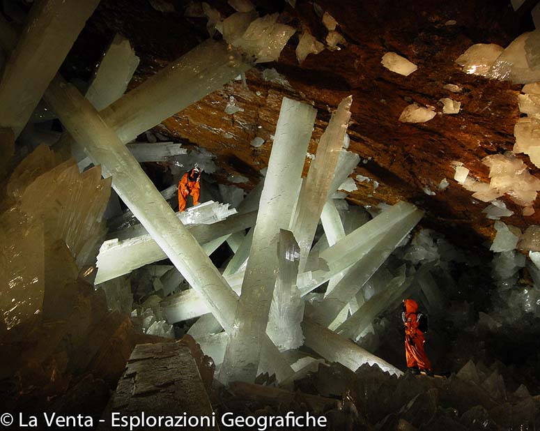 Massive selenite crystal beams in cave