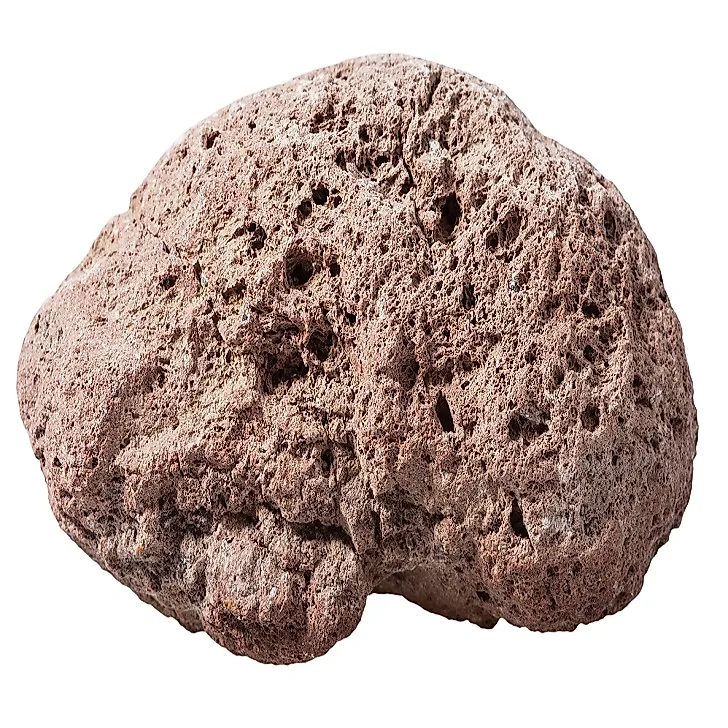 Real pumice stone
