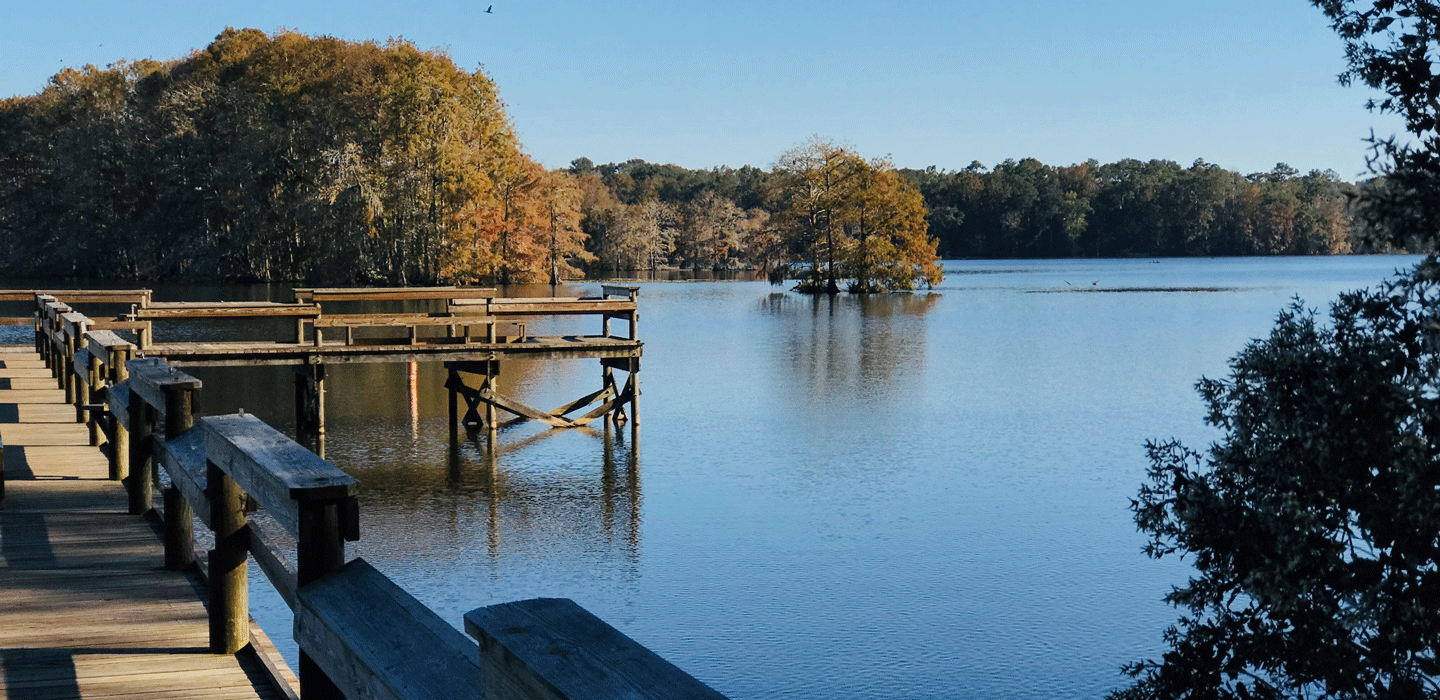 Lake Talquin State Forest / State Forests / Our Forests / Forest ...