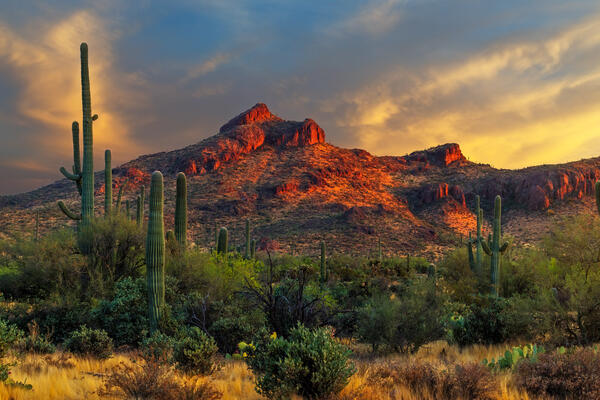 Desert Photography Gallery of Beautiful Landscape Photos | Prints ...